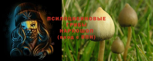 ГАЛЛЮЦИНОГЕННЫЕ ГРИБЫ Алексин