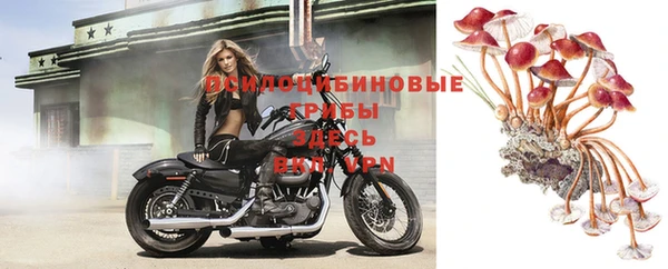ГАЛЛЮЦИНОГЕННЫЕ ГРИБЫ Алексин