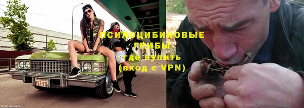 скорость Алзамай
